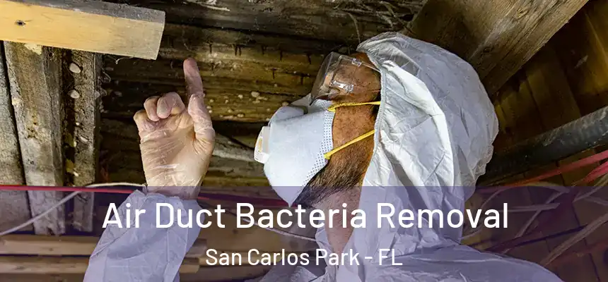  Air Duct Bacteria Removal San Carlos Park - FL