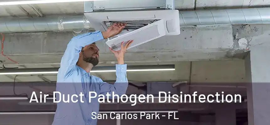 Air Duct Pathogen Disinfection San Carlos Park - FL