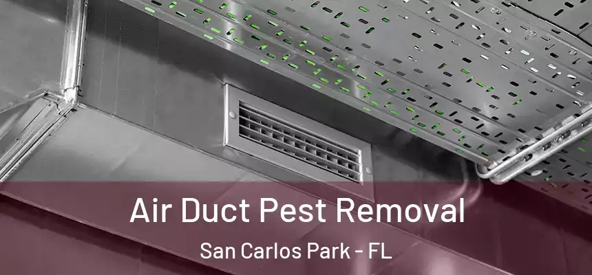 Air Duct Pest Removal San Carlos Park - FL