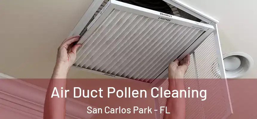 Air Duct Pollen Cleaning San Carlos Park - FL