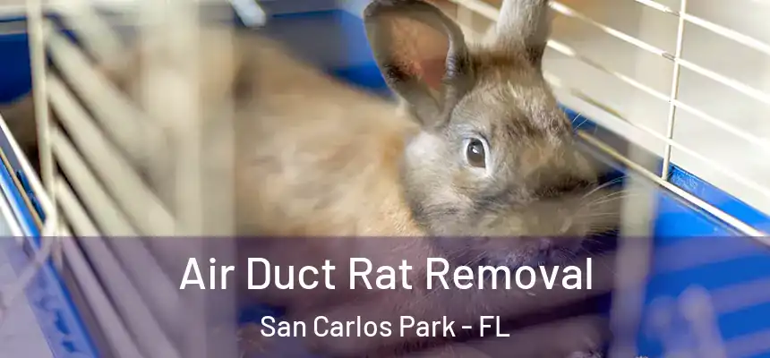 Air Duct Rat Removal San Carlos Park - FL