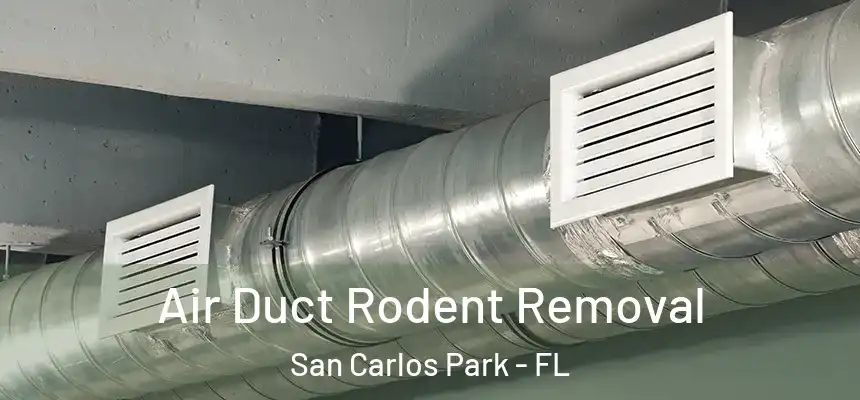 Air Duct Rodent Removal San Carlos Park - FL