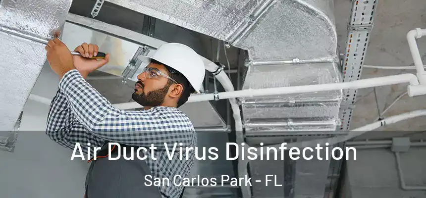 Air Duct Virus Disinfection San Carlos Park - FL