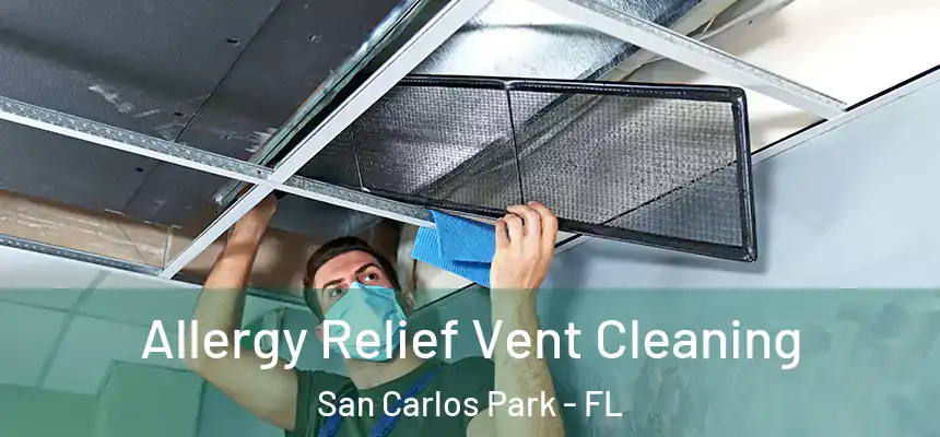 Allergy Relief Vent Cleaning San Carlos Park - FL