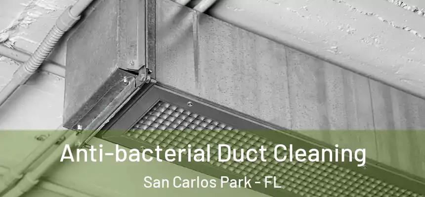 Anti-bacterial Duct Cleaning San Carlos Park - FL