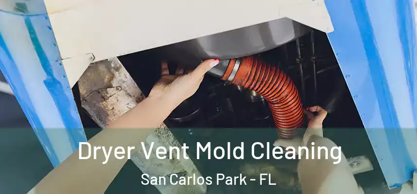 Dryer Vent Mold Cleaning San Carlos Park - FL