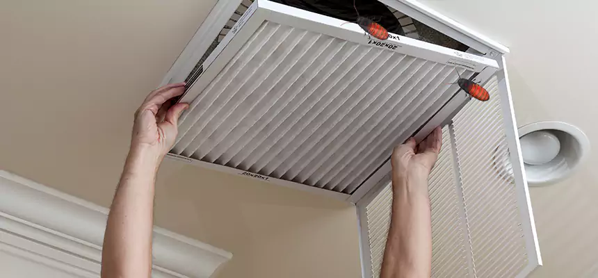 Preventive Cockroach-Proofing for Ducts in San Carlos Park