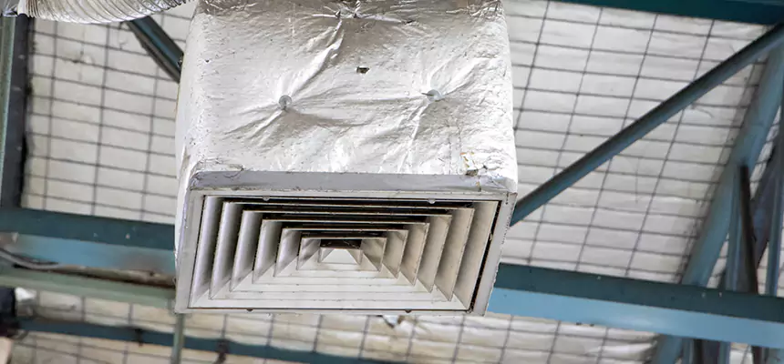 Our HVAC Mold Remediation Service Services in San Carlos Park, FL