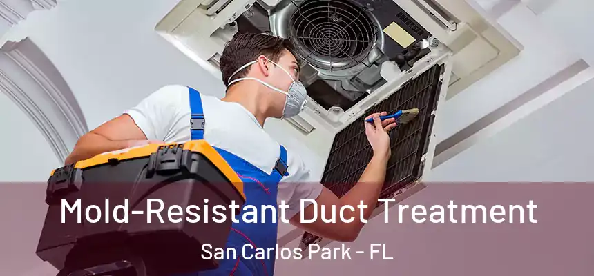 Mold-Resistant Duct Treatment San Carlos Park - FL