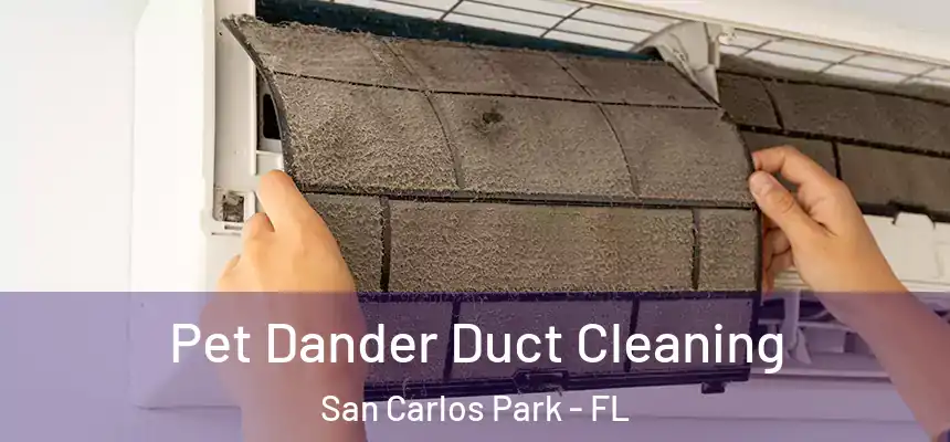 Pet Dander Duct Cleaning San Carlos Park - FL