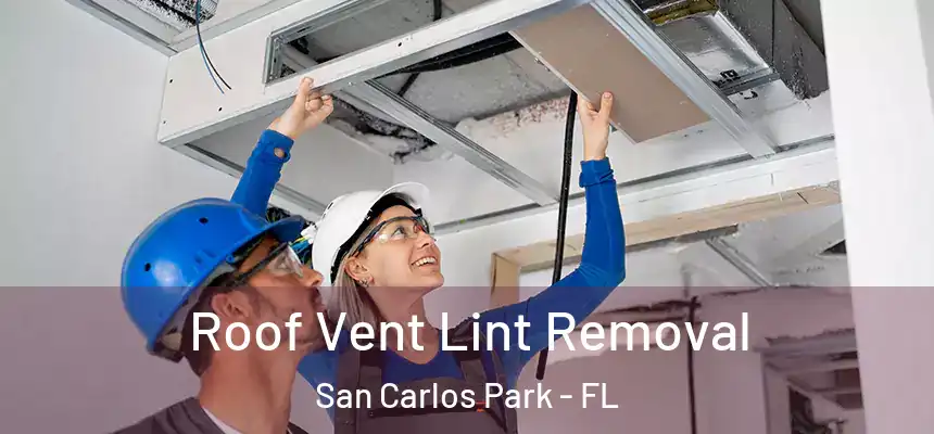Roof Vent Lint Removal San Carlos Park - FL