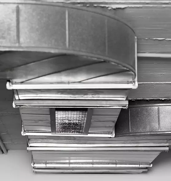 Professional Air Duct Pest Removal in San Carlos Park, FL