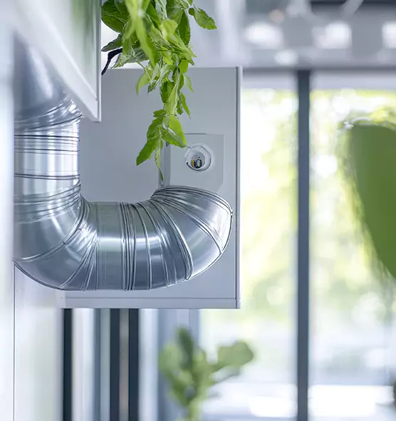 Professional Eco-Safe Dryer Vent Cleaning in San Carlos Park, FL