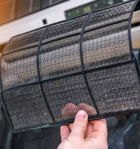 About Pet Dander Duct Cleaning in San Carlos Park, FL